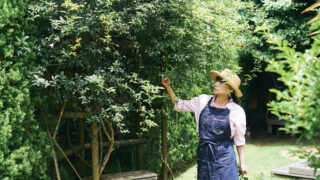 衣・食・住・美。秋のはじめにしたいこと。