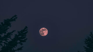 月の秋。バイオリズムを整える。